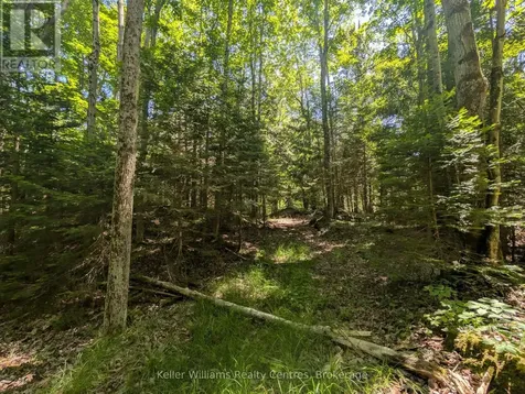 590-608 Huron Road South Bruce Peninsula ON N0H 2T0
