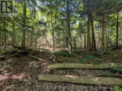 590-608 Huron Road South Bruce Peninsula ON N0H 2T0