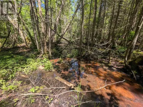 590-608 Huron Road South Bruce Peninsula ON N0H 2T0