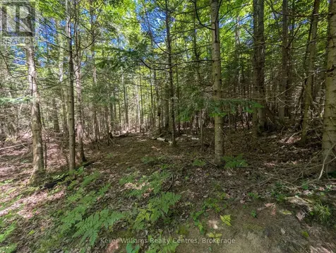 590-608 Huron Road South Bruce Peninsula ON N0H 2T0
