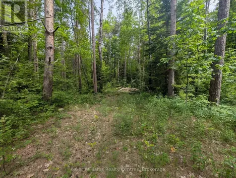 590-608 Huron Road South Bruce Peninsula ON N0H 2T0