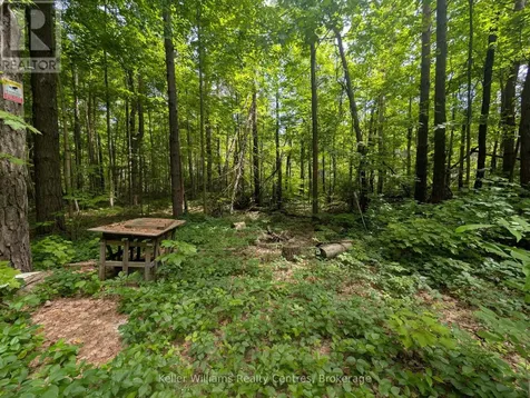 590-608 Huron Road South Bruce Peninsula ON N0H 2T0