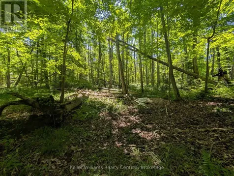 590-608 Huron Road South Bruce Peninsula ON N0H 2T0