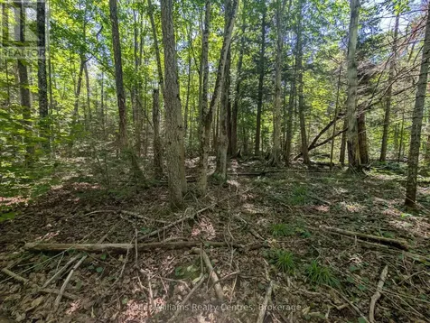 590-608 Huron Road South Bruce Peninsula ON N0H 2T0