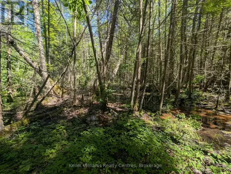590-608 Huron Road South Bruce Peninsula ON N0H 2T0