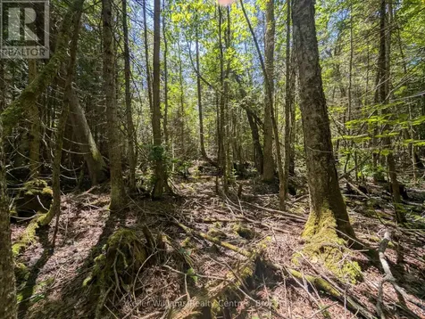 590-608 Huron Road South Bruce Peninsula ON N0H 2T0