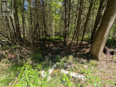 590-608 Huron Road South Bruce Peninsula ON N0H 2T0