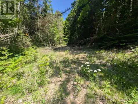 590-608 Huron Road South Bruce Peninsula ON N0H 2T0