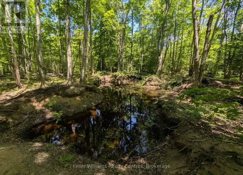 590-608 Huron Road South Bruce Peninsula ON N0H 2T0