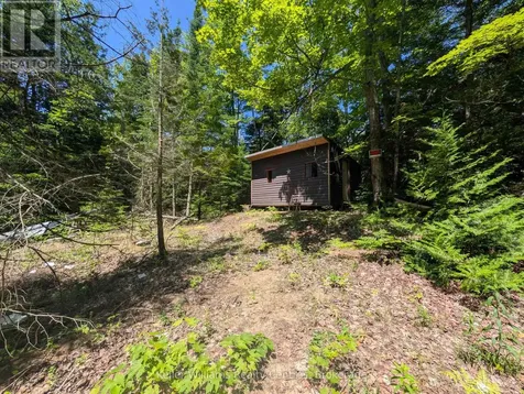 590-608 Huron Road South Bruce Peninsula ON N0H 2T0