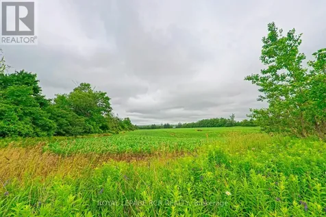 537086 Main Street Melancthon ON L9V 1X6