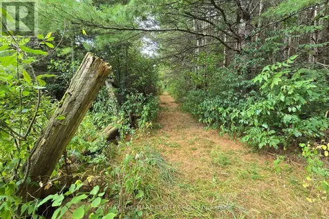 00 Upper Dwyer Hill Road Ottawa ON K0A 1B0