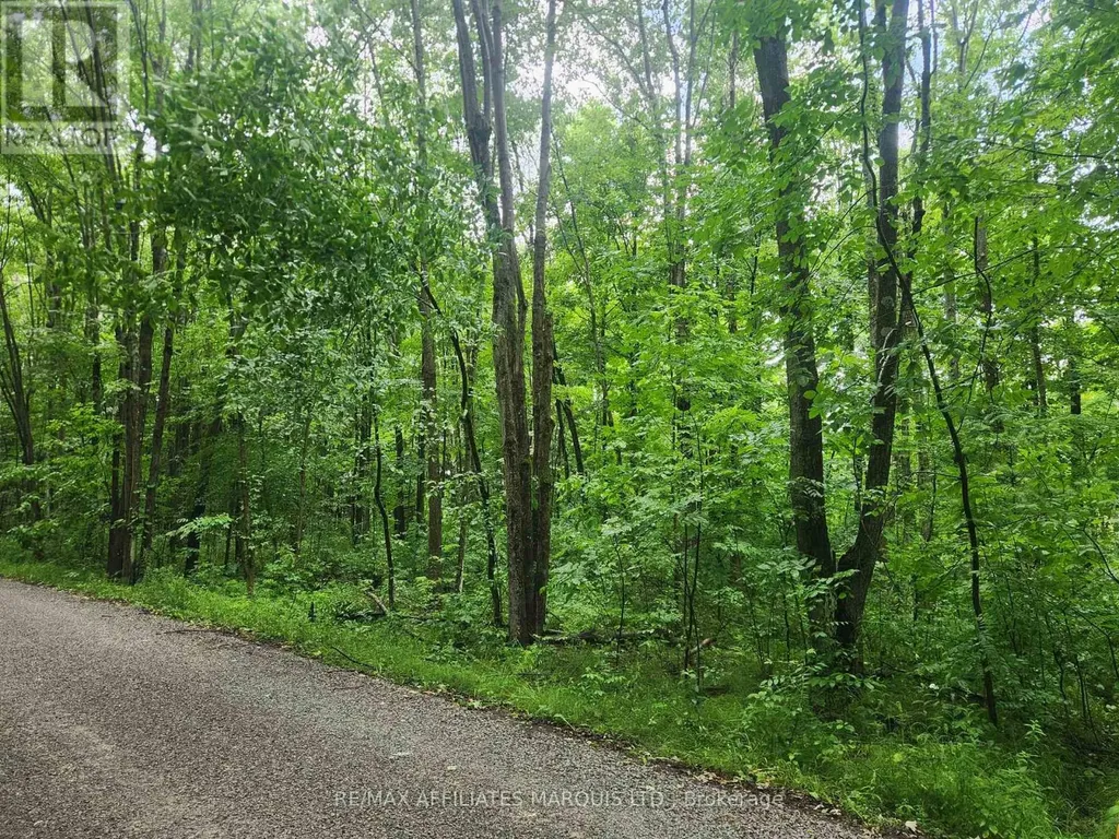 Lot Cedar Sands Road Way Rideau Lakes ON K0E 1N0
