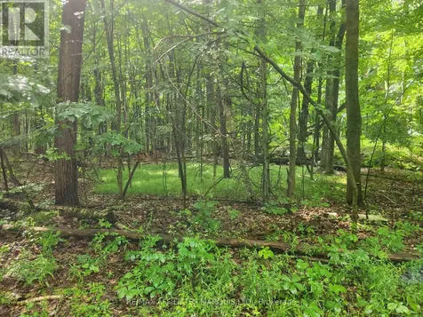 Lot Cedar Sands Road Way Rideau Lakes ON K0E 1N0