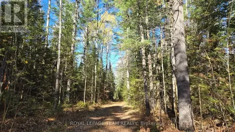 00 (31253) Highway 41 Highway Bonnechere Valley ON K0J 1T0