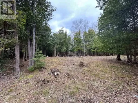 00 Snowdons Corners Road Merrickville-wolford ON K0G 1N0