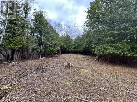 00 Snowdons Corners Road Merrickville-wolford ON K0G 1N0