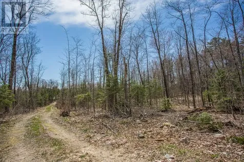 279 Finns Bay Rd N|laird Township Echo Bay ON P0S 1C0