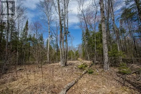 279 Finns Bay Rd N Echo Bay ON P0S 1C0