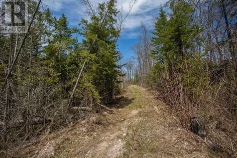 279 Finns Bay Rd N Echo Bay ON P0S 1C0