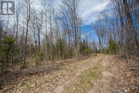 279 Finns Bay Rd N|laird Township Echo Bay ON P0S 1C0