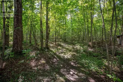 89 Tammys Cove Road Northern Bruce Peninsula ON N0H 1Z0