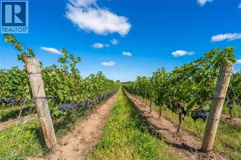 3811 King Street Beamsville ON L0R 1B1