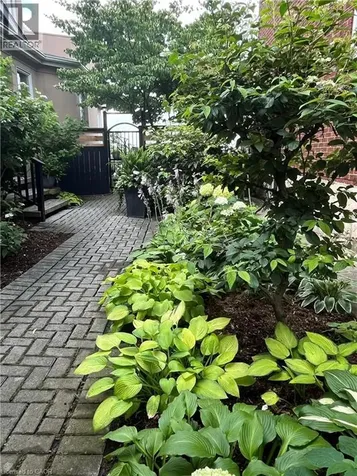 91 Mountain Park Avenue Hamilton ON L9A 1A1