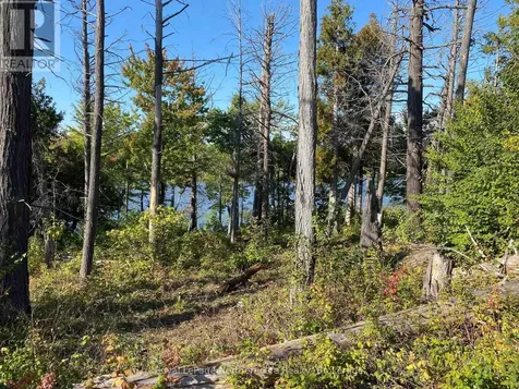 Lot 3 Grand Trunk Island Callander ON P0H 1H0