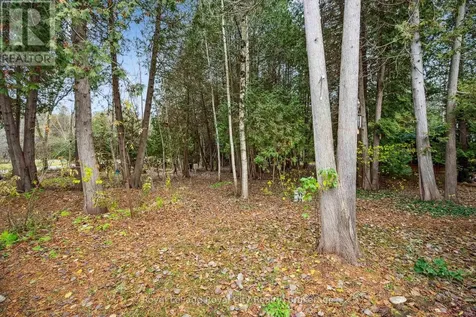 10 Spruce Avenue Puslinch ON N1B 2J0