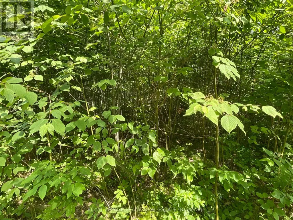0 Sugarbush Crescent Trent Lakes ON K0L 1J0