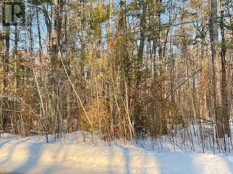 0 Sugarbush Crescent Trent Lakes ON K0L 1J0