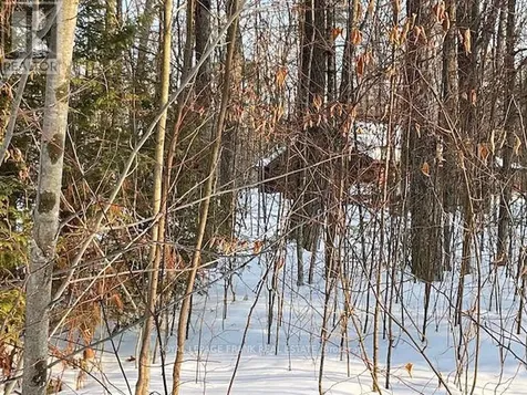 0 Sugarbush Crescent Trent Lakes ON K0L 1J0