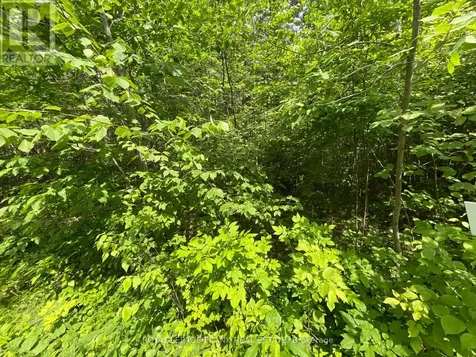 0 Sugarbush Crescent Trent Lakes ON K0L 1J0