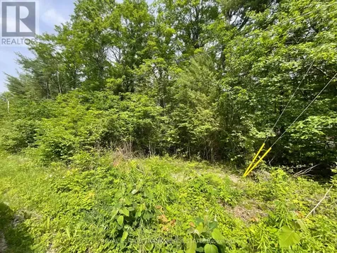 0 Sugarbush Crescent Trent Lakes ON K0L 1J0