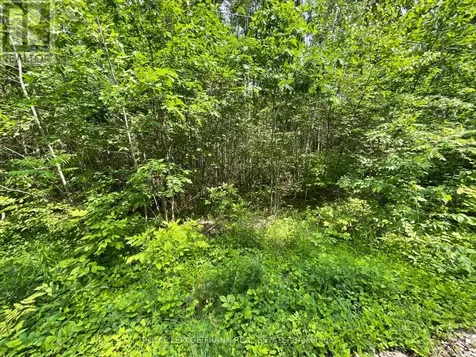 0 Sugarbush Crescent Trent Lakes ON K0L 1J0