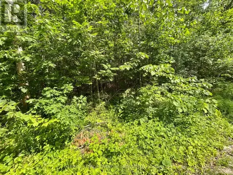 0 Sugarbush Crescent Trent Lakes ON K0L 1J0