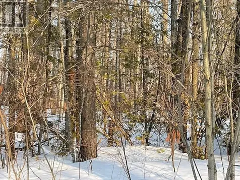 0 Sugarbush Crescent Trent Lakes ON K0L 1J0