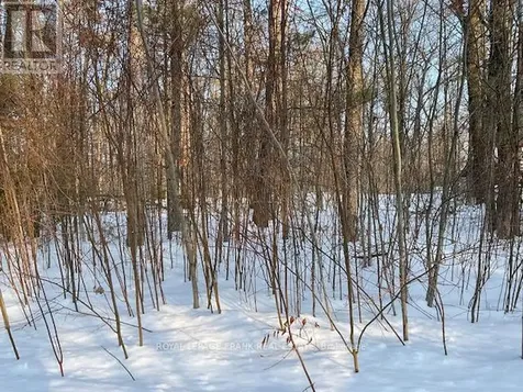 0 Sugarbush Crescent Trent Lakes ON K0L 1J0