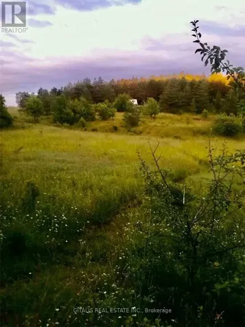 638212 St. Vincent-sydenham Townline Meaford ON N4K 5W4