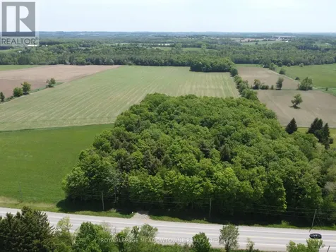 8949 Wellington Rd 22 Road Erin ON N0B 1Z0