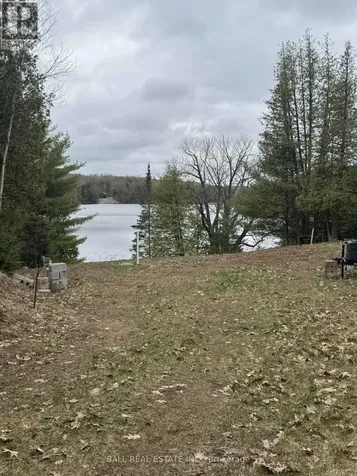 25 Fire Route 330 (Northshore Rd) Trent Lakes ON K0M 1R0