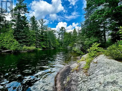 2295 Stony Lake Isl 17 North Kawartha ON K0L 2H0