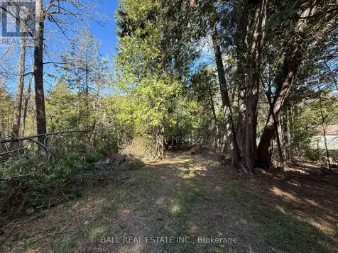 127 Fire Route 42 Trent Lakes ON K0L 1J0