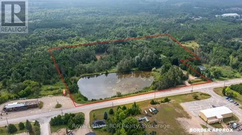 121 Collingwood Street Grey Highlands ON N0C 1E0