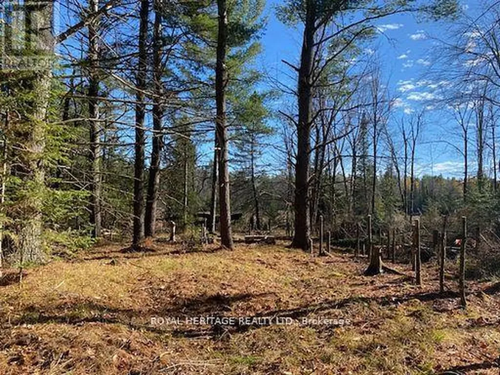17556 Highway 62 Madoc ON K0K 2K0