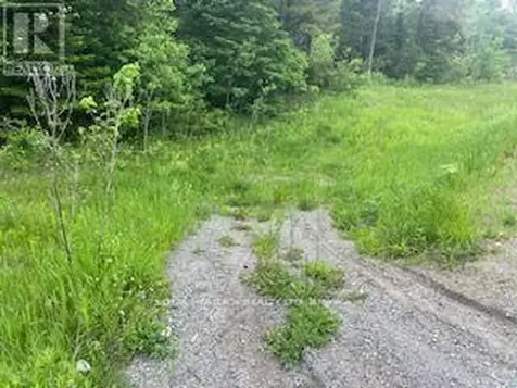 17556 Highway 62 Madoc ON K0K 2K0