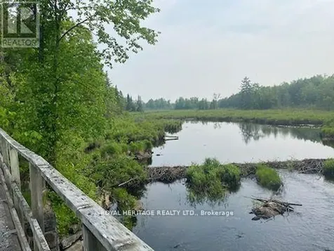 17556 Highway 62 Madoc ON K0K 2K0