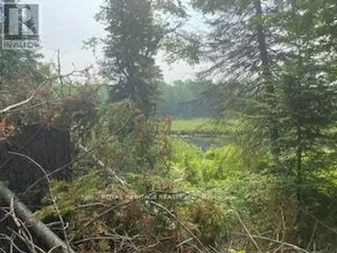 17556 Highway 62 Madoc ON K0K 2K0
