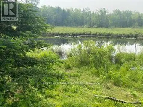 17556 Highway 62 Madoc ON K0K 2K0